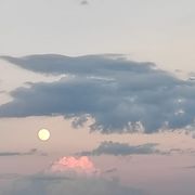 Unknown008