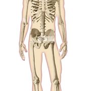 human.name
