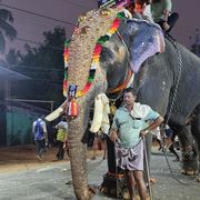 Badusha