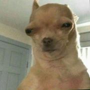 bigdick34