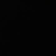 a13