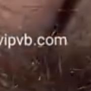 soraya789