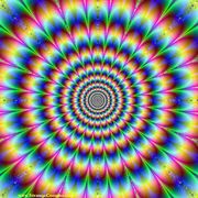 sudsauvage