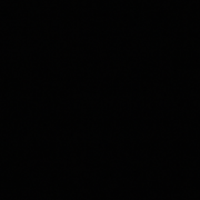 HornyBeee123