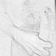 LeoBeluga