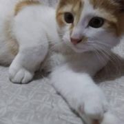 mr.nightmare146@gmail.com