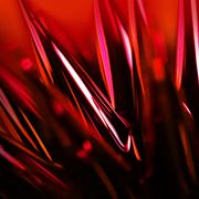 superdarius113@gmail.com