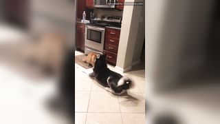 Evee N Ginger Onlyfans 155