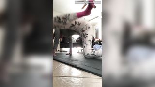 Evee N Ginger Onlyfans 168