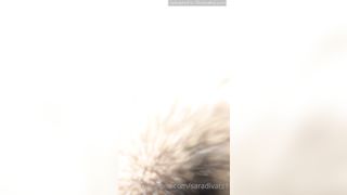 Saradivats Good Night To Al