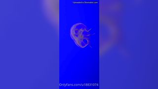 Zoey Taylor Today Was A Beautiful Day With A Very Special Someone We Went To The Aquarium