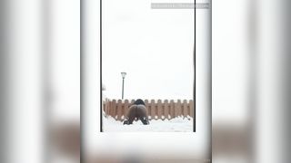 Mizz Bee The Body Onlyfans 346