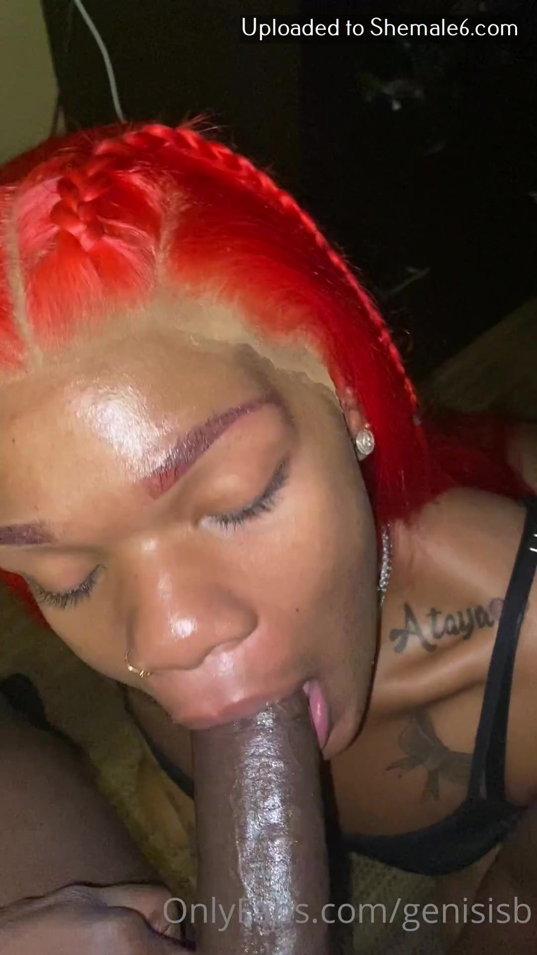 Ts Genisis Onlyfans 142