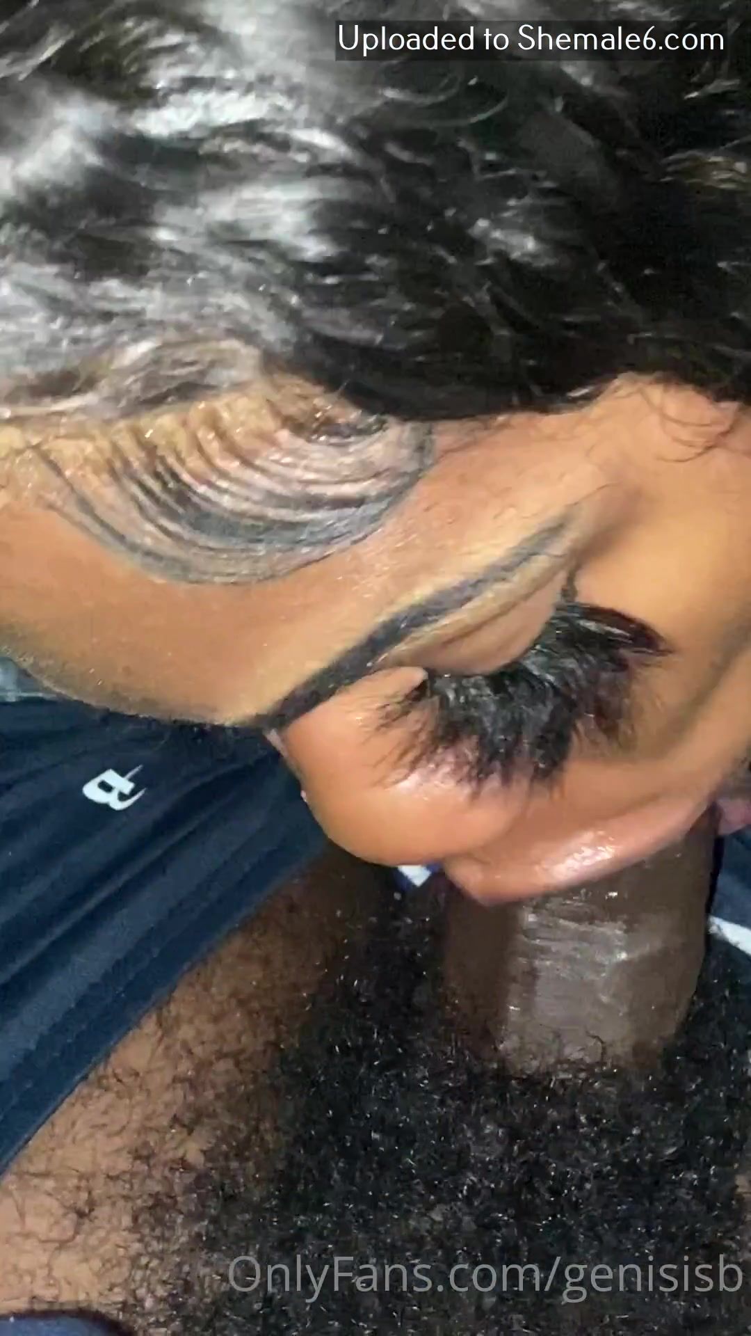 Ts Genisis Onlyfans 231