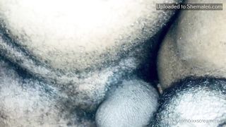 TS XXX Caramel Onlyfans 266