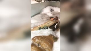 Georgina Vandameer Onlyfans 158