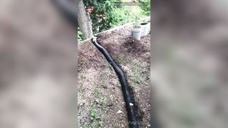 Venus Lux Venus Lux Diy Yard Work Countrylife