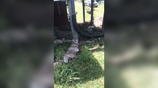 Venus Lux Venus Lux My Therapy Today