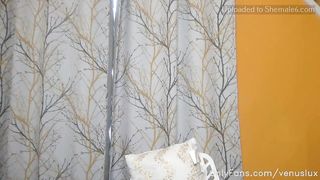 Venus Lux Venus Lux Stream Started At 36