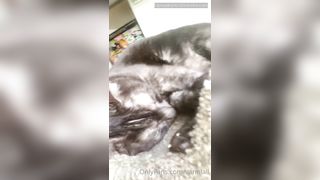 Vanniall Onlyfans 115