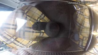 Vanniall Onlyfans 113