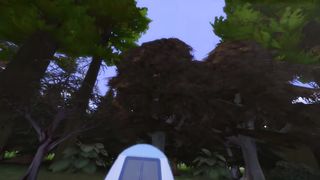 Hikaris Harem Shemale Pov Bananamatep