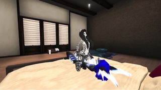 Fukas Rendezvous The Cheetah Fukasharkp