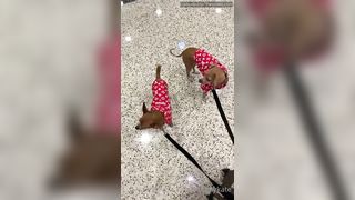 Aubrey Kate Milf On The Way Stay Tuned It Might Get Naughty