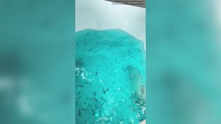 Aubrey Kate Onlyfans 113