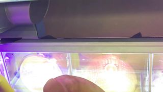 Naomi Moan Onlyfans 114