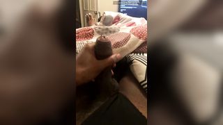 Public Princess Stream Started At Pm