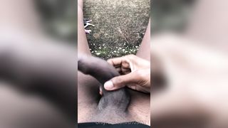 Public Princess Taking My Dog For A Walk