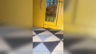 Ts Blond Bombshell XXL Onlyfans 226