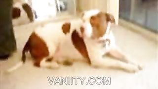 Vaniity Outtakes Mphigh1