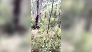 Adriana Rodrigues Onlyfans 143