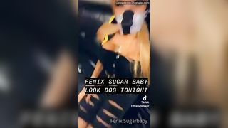 Fenixsugarbaby Guau Guau