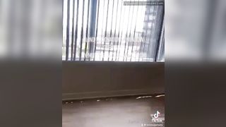 Fenixsugarbaby You Like My Tiktok