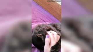 Acrylickatequinn Starting A Cozy Chaturbate Show In Hour Https Chaturbate Com Acryliccloud