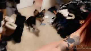 Maddybae I Love Listening To Music Also I Love My Little Corgi Luna