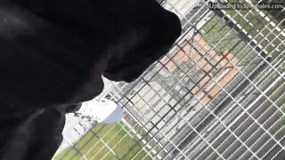 Emy Lee Onlyfans 111