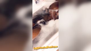 Kim Carta Onlyfans 159