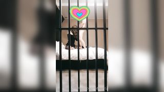 Cdwant2 Onlyfans 245