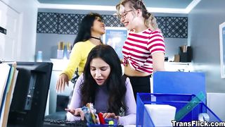 Crazy Sexual Ts Activity Taking Place At Company Office - Shemale6.com