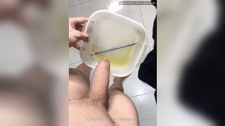 The Real Anaconda Open Your Mouth