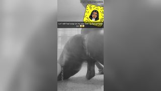 Ts India Frost Onlyfans 553