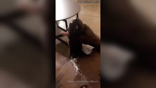 Kourtney Dash Onlyfans 389