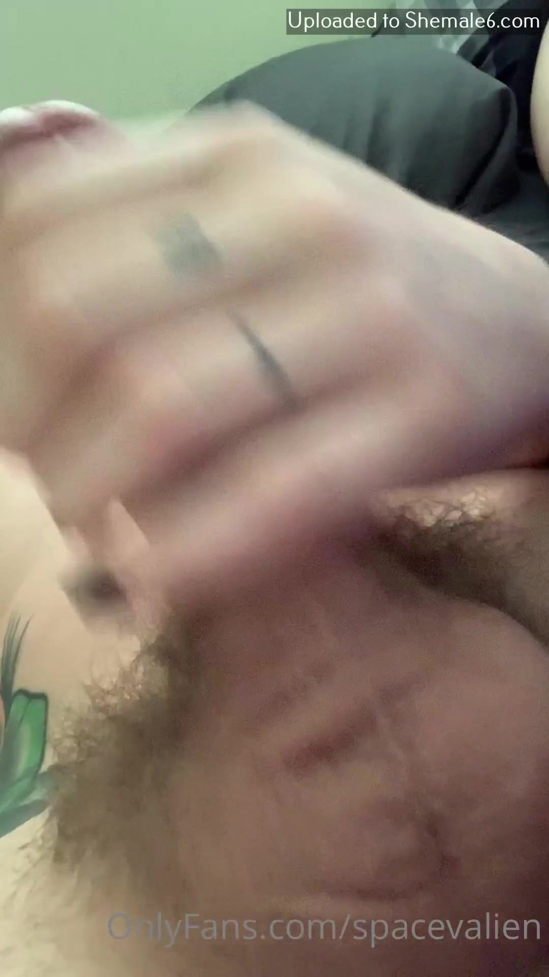 Dreamylei porn - mysocalledparadise.com.