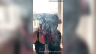 Candidlyval What A Good Dog Saccharine Sam