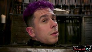 Asian Beauty Assfucking Submissive Stud - Shemale6.com