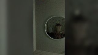 Foda Foda Foda - Shemale6.com